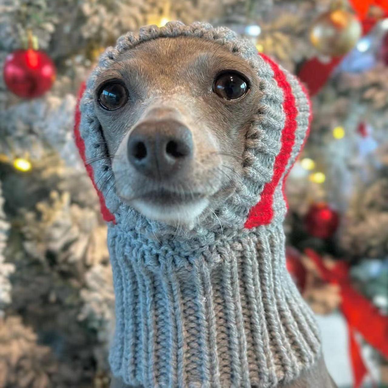 Warm Christmas Knit Hat Dog Cat Accessory