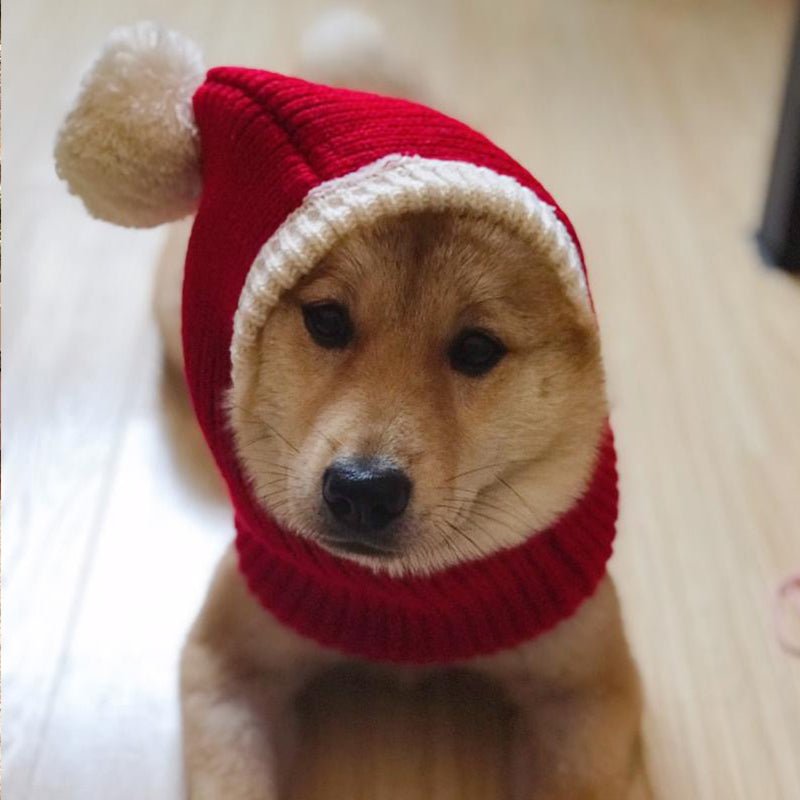 Festive Knitted Chinchilla Pet Hat