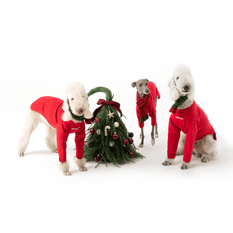 Cozy Christmas Bedlington Terrier Sweater