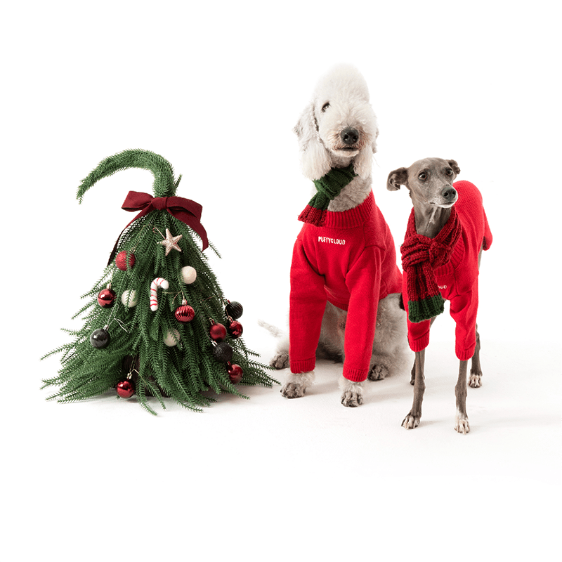 Cozy Winter Italian Greyhound Dog Jacket