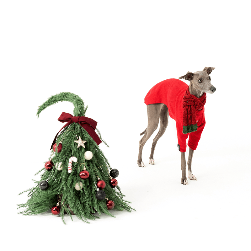 Cozy Winter Italian Greyhound Dog Jacket