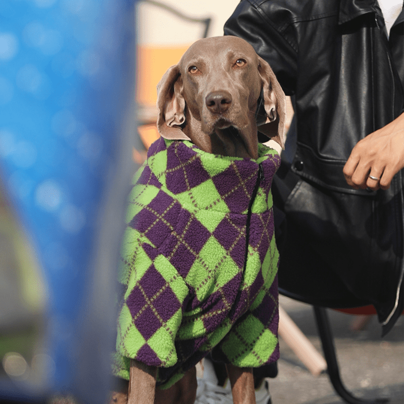 Christmas Diamond Fleece Big Dog Coat