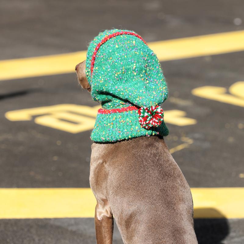 Knitted Warm Small Dog Hat