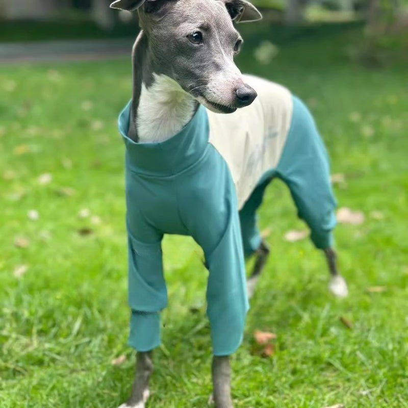 Quick Drying Cool Greyhound Onesie