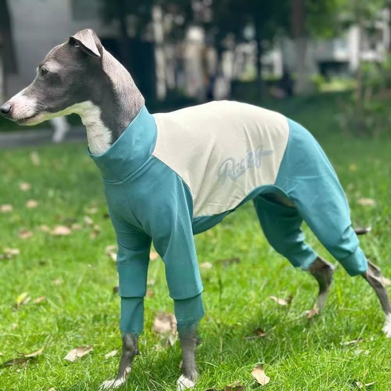 Quick Drying Cool Greyhound Onesie