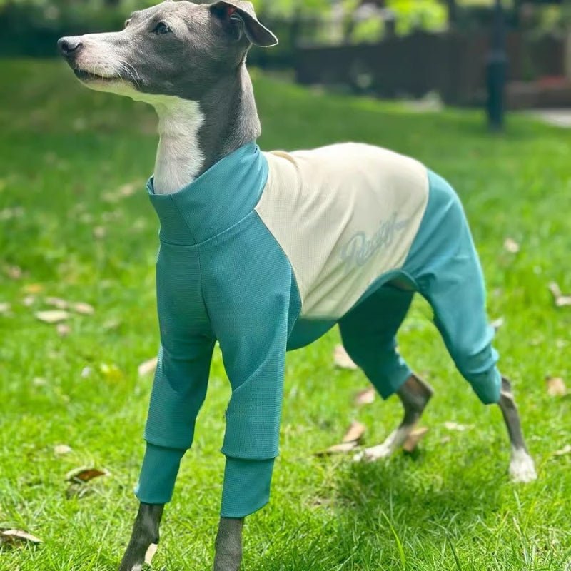Quick Drying Cool Greyhound Onesie