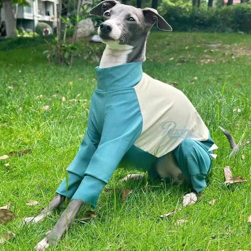 Quick Drying Cool Greyhound Onesie