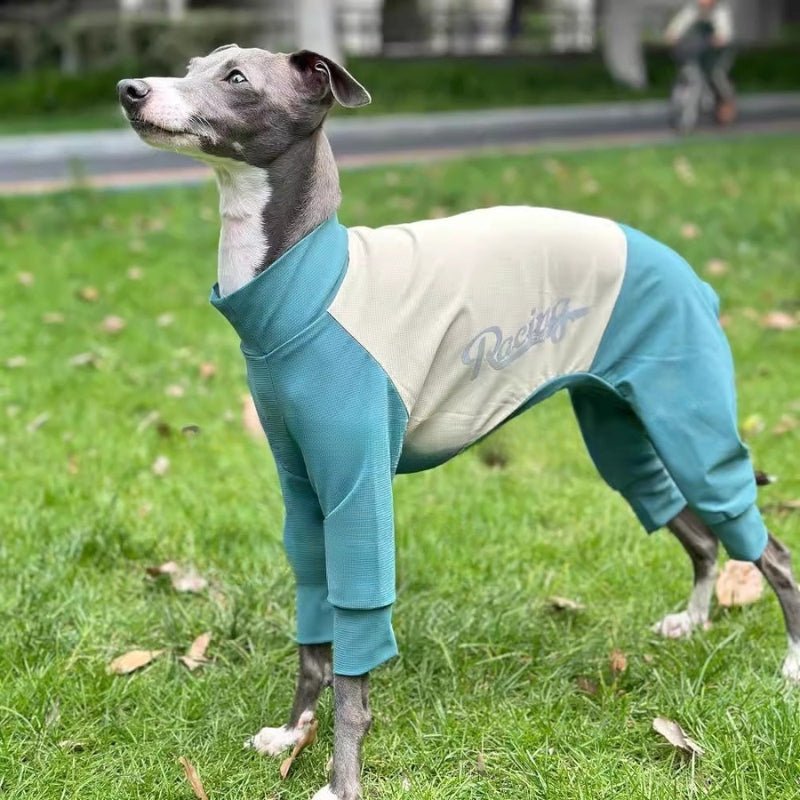 Quick Drying Cool Greyhound Onesie