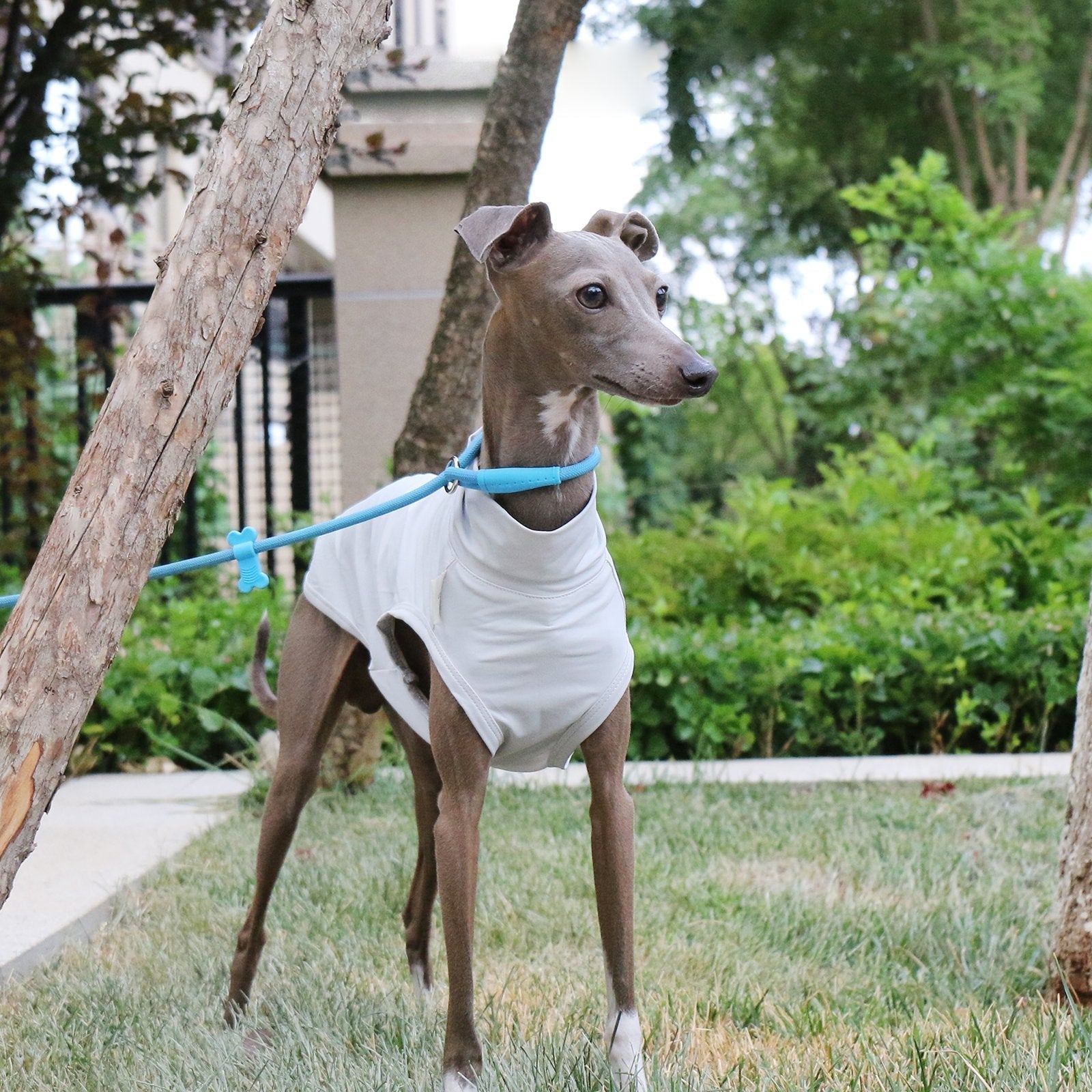 Cooling Nylon Whippet Sun Vest