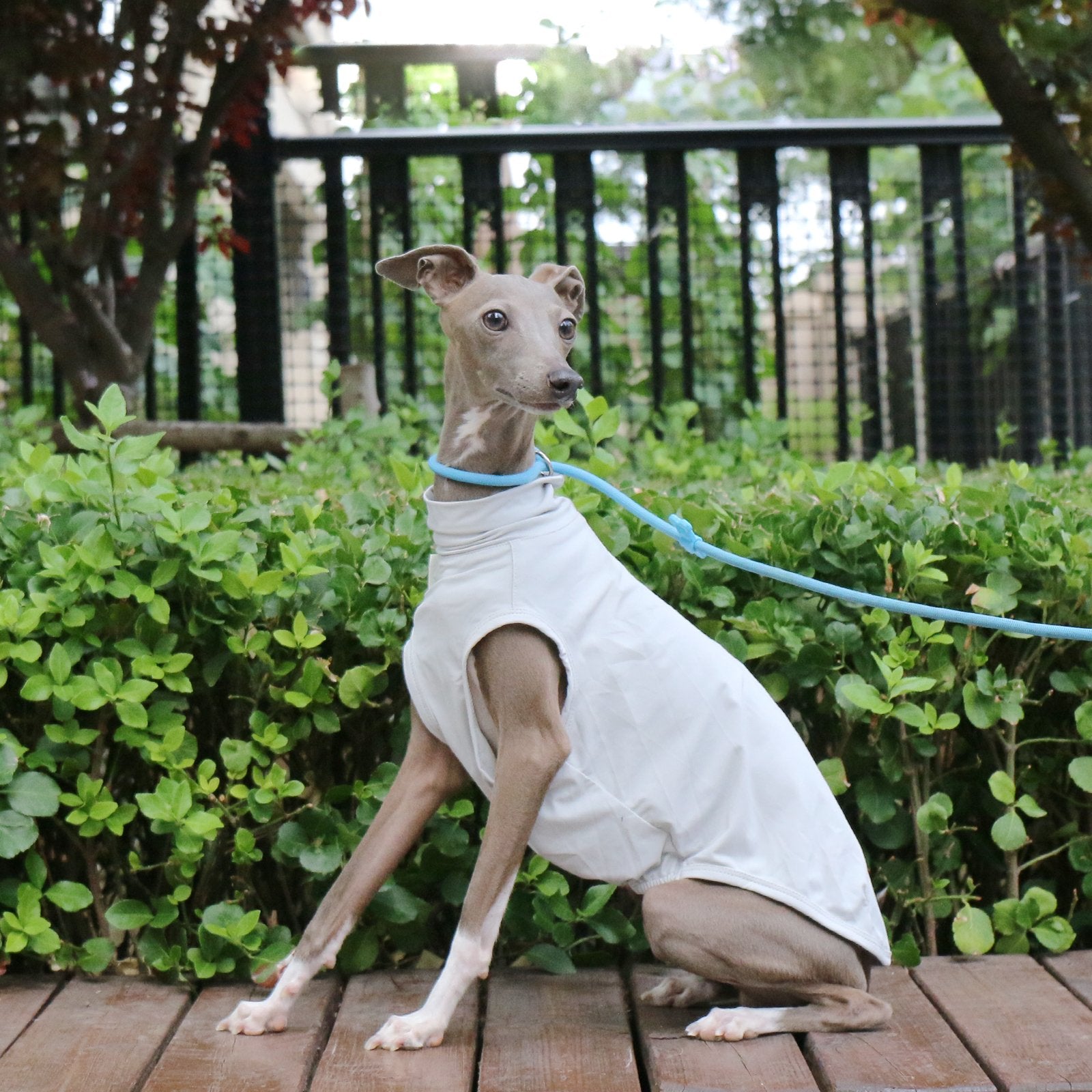 Cooling Nylon Whippet Sun Vest