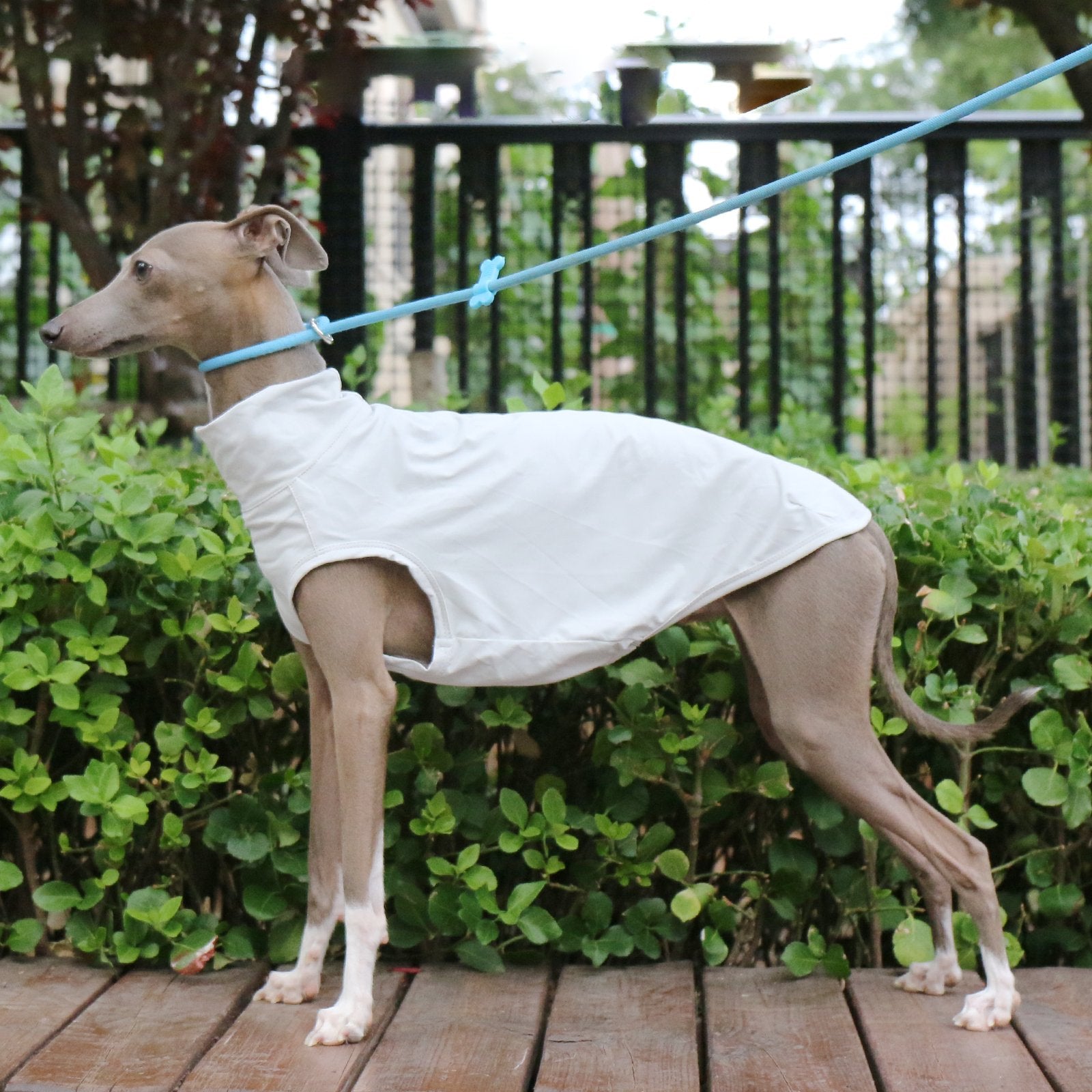 Cooling Nylon Whippet Sun Vest
