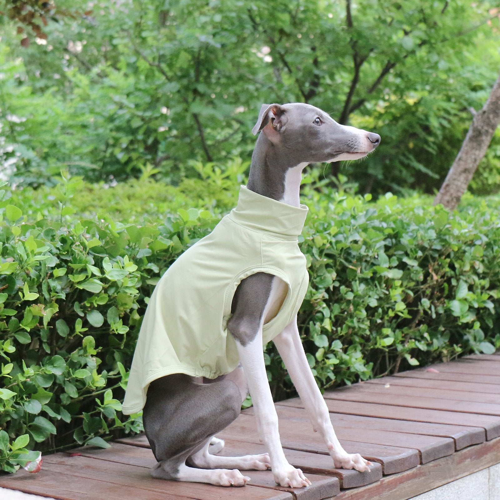 Cooling Nylon Italian Greyhound Sun Vest