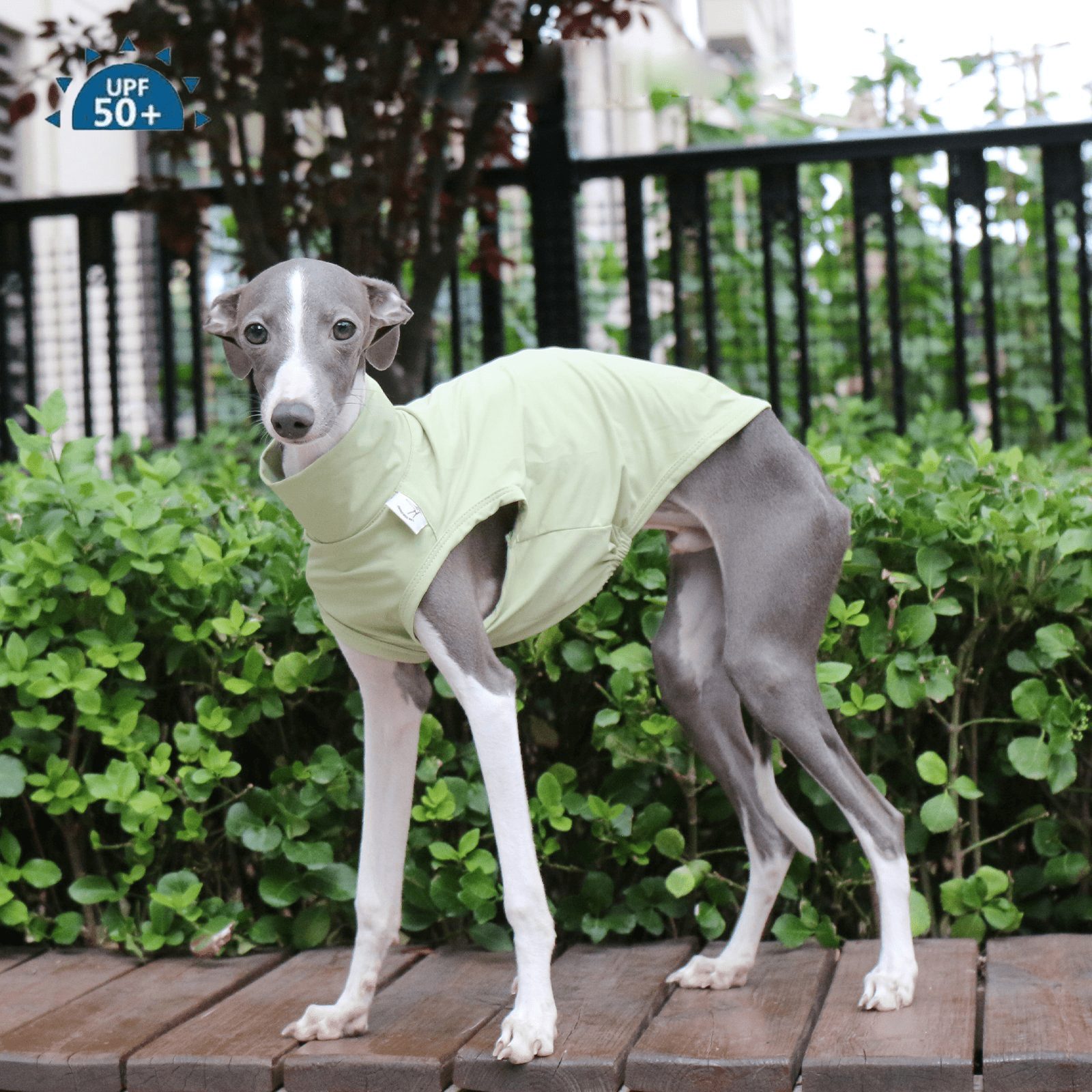 Cooling Nylon Italian Greyhound Sun Vest