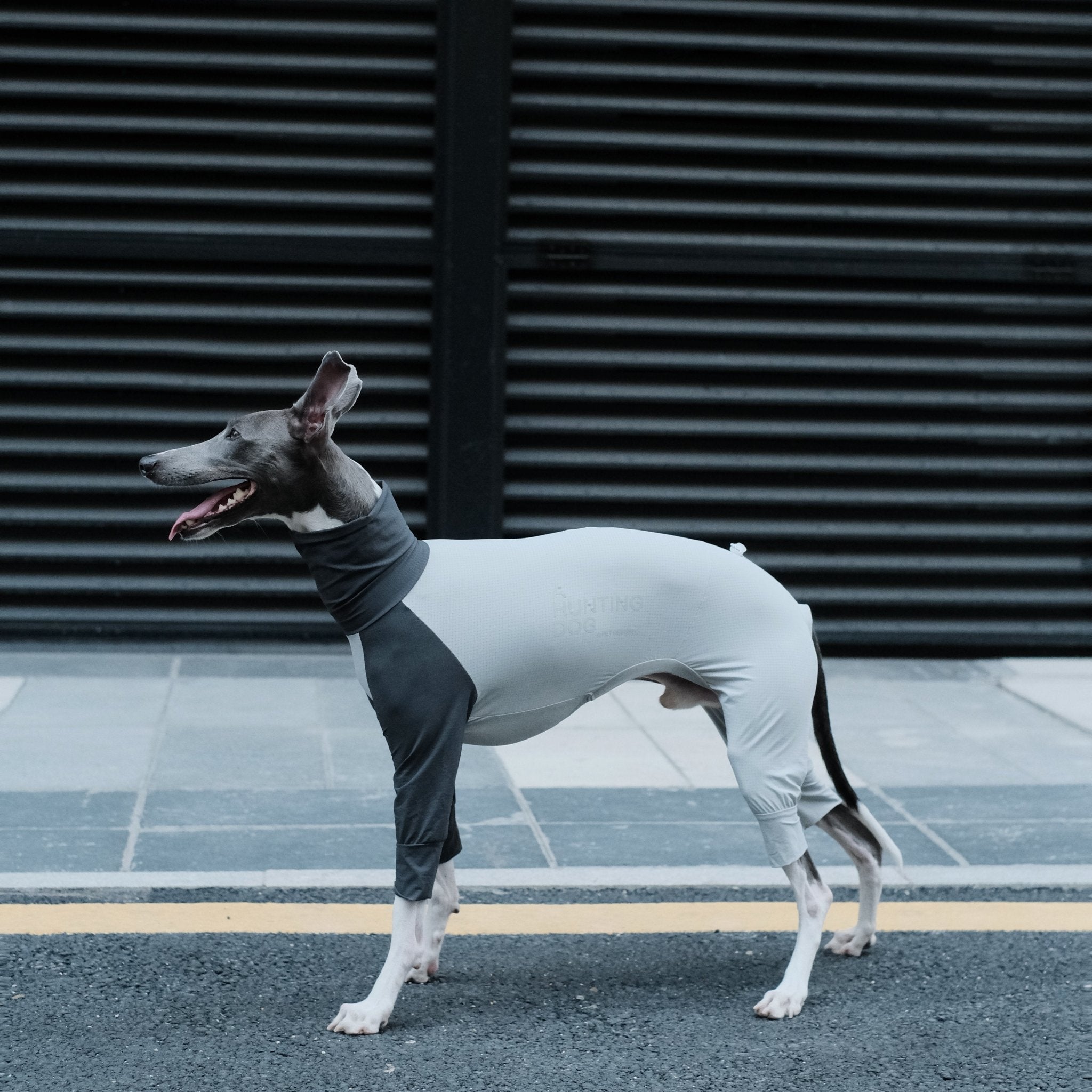 Cooling Quick Dry Italian Greyhound Jumpsuit