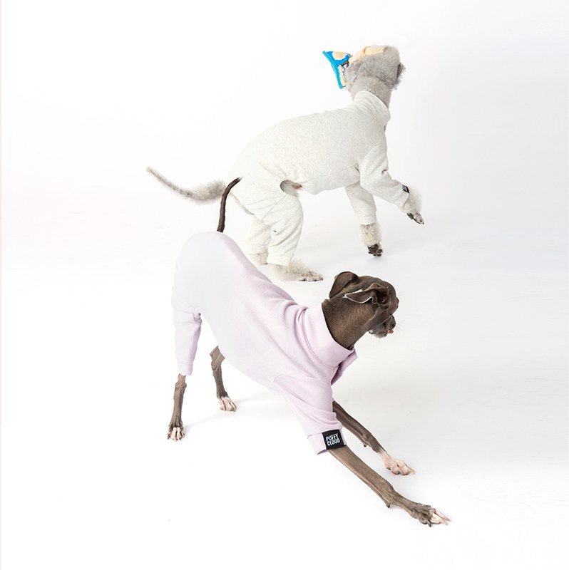 Breathable Cotton Greyhound Dog Jumpsuit