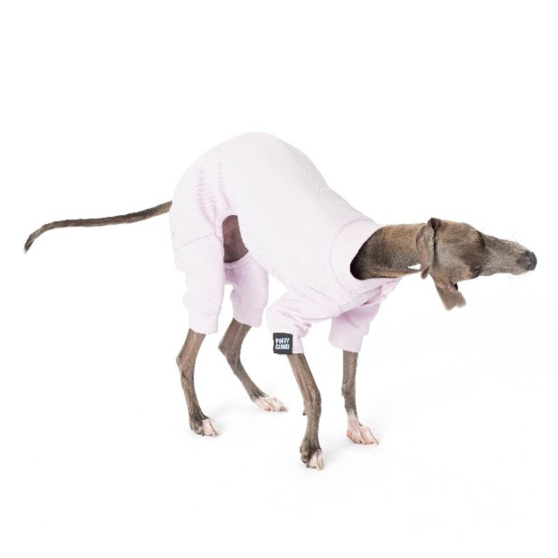 Breathable Cotton Greyhound Dog Jumpsuit