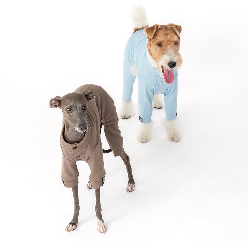 Breathable Cotton Greyhound Dog Jumpsuit