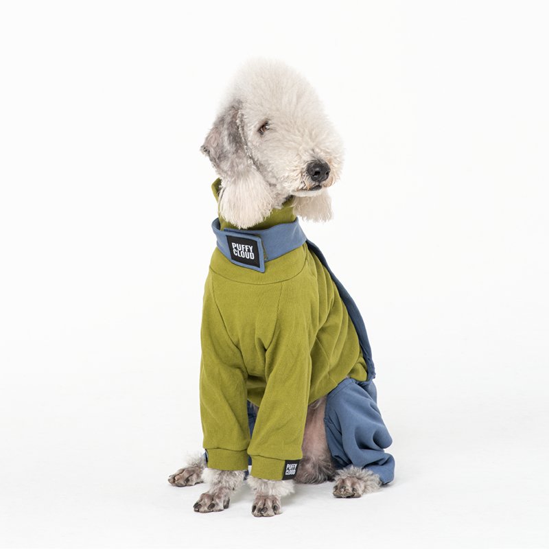 Stylish Cotton Denim Bedlington Dog Pants