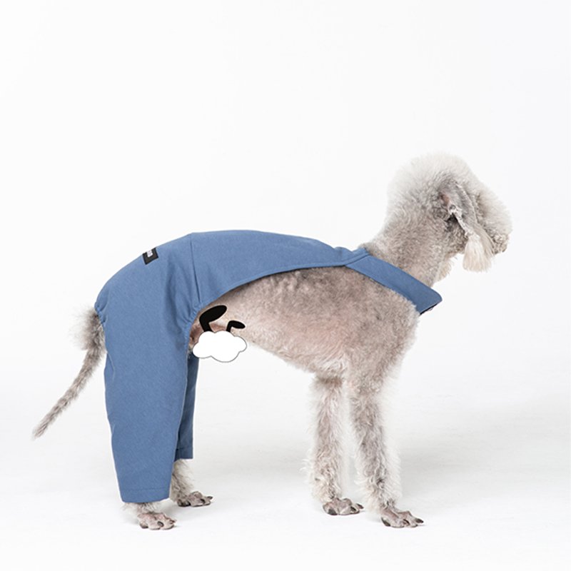 Stylish Cotton Denim Bedlington Dog Pants
