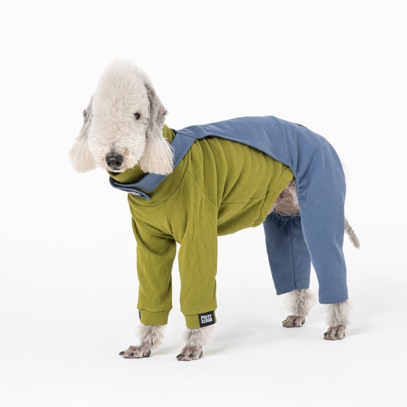 Stylish Cotton Denim Bedlington Dog Pants