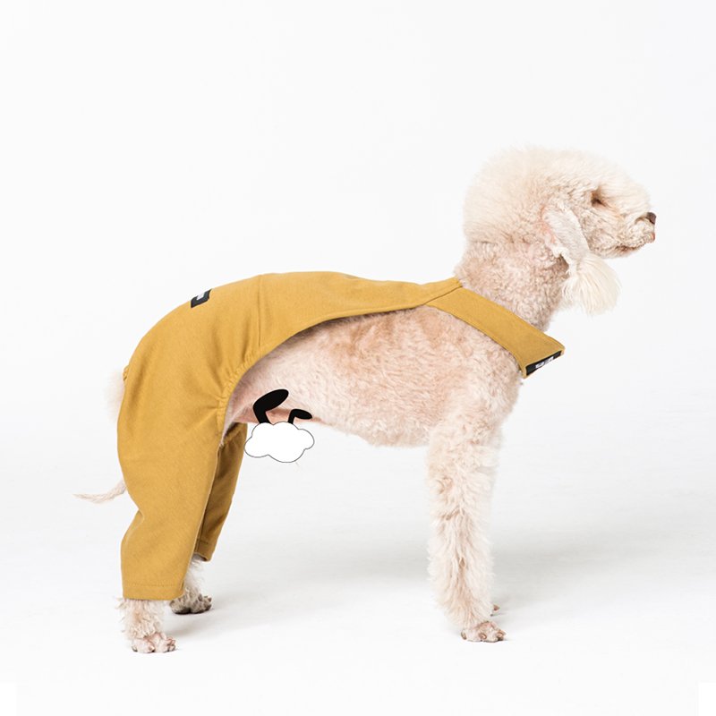 Stylish Cotton Denim Bedlington Dog Pants