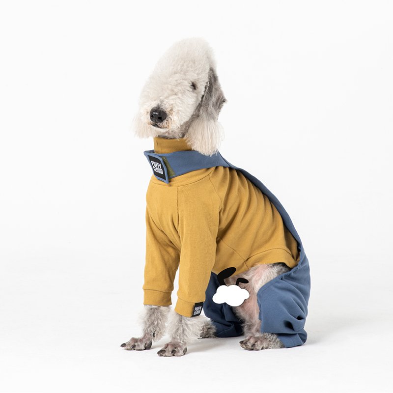 Stylish Cotton Denim Bedlington Dog Pants