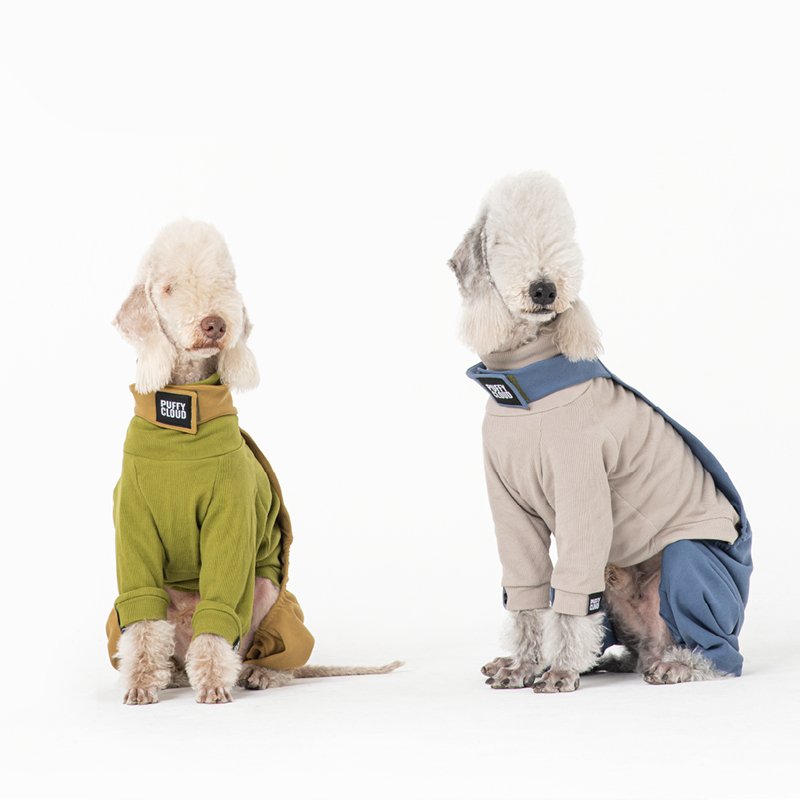 Stylish Cotton Denim Bedlington Dog Pants