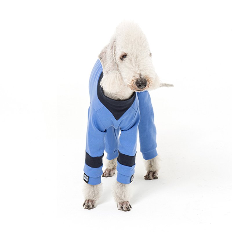 Warm Cotton Bedlington Dog Jumpsuit