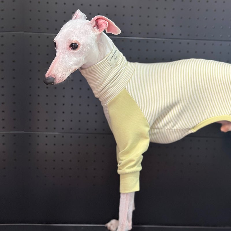 Stylish Striped Greyhound Dog Onesie