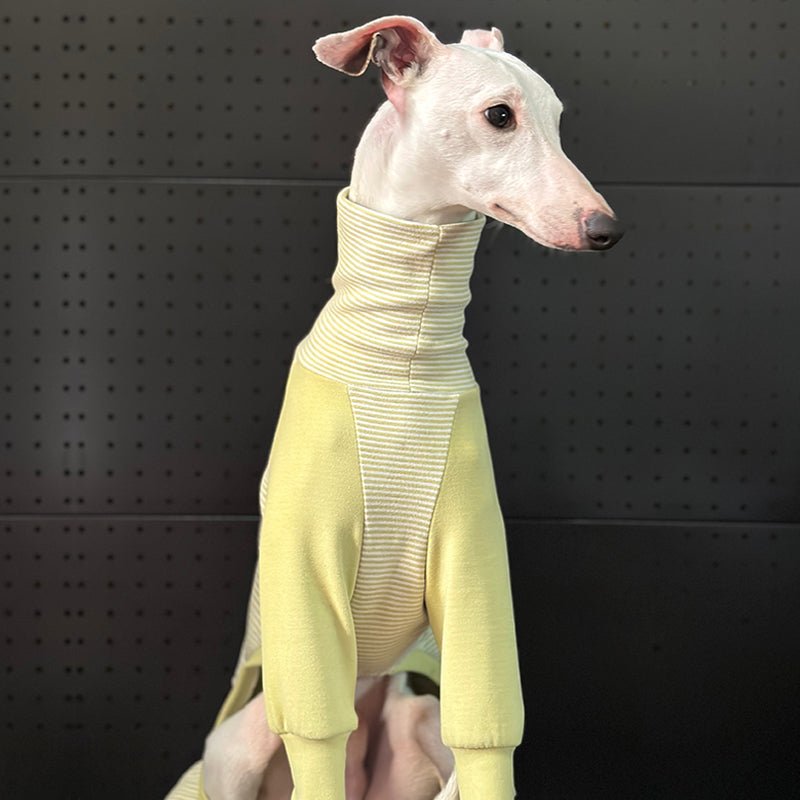 Stylish Striped Greyhound Dog Onesie