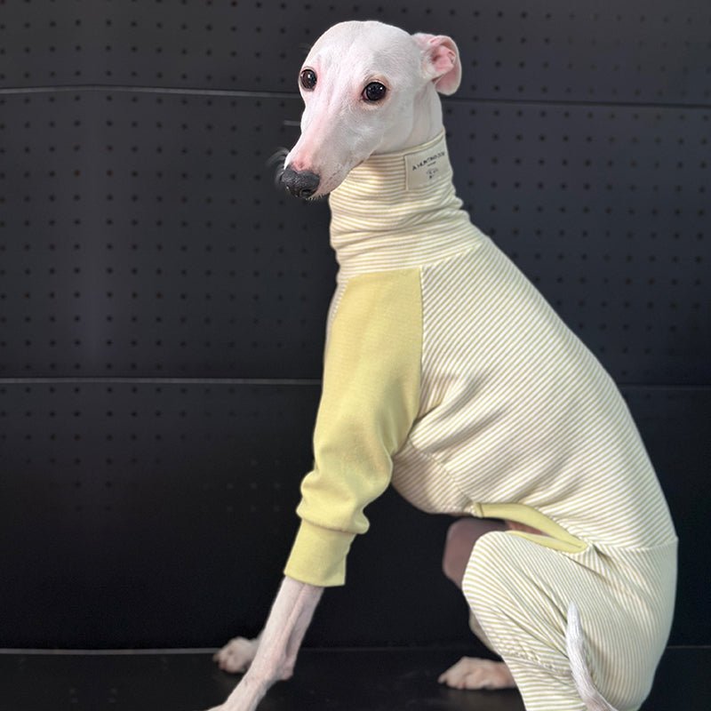 Stylish Striped Greyhound Dog Onesie