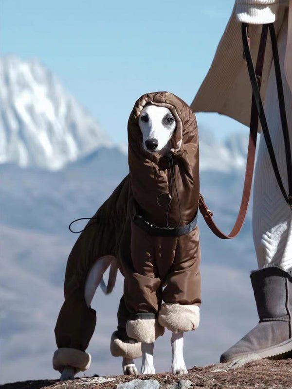 Winter Warm Italian Greyhound Padded Coat