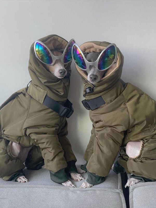 Winter Warm Italian Greyhound Padded Coat