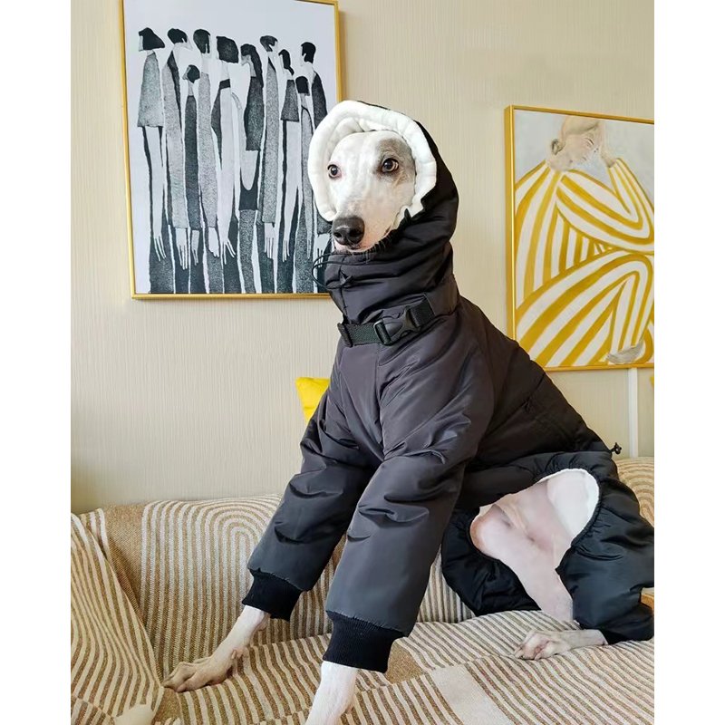 Winter Warm Italian Greyhound Padded Coat