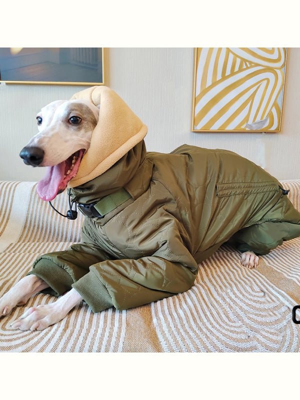 Winter Warm Italian Greyhound Padded Coat