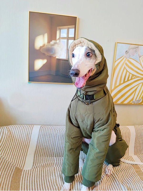 Winter Warm Italian Greyhound Padded Coat