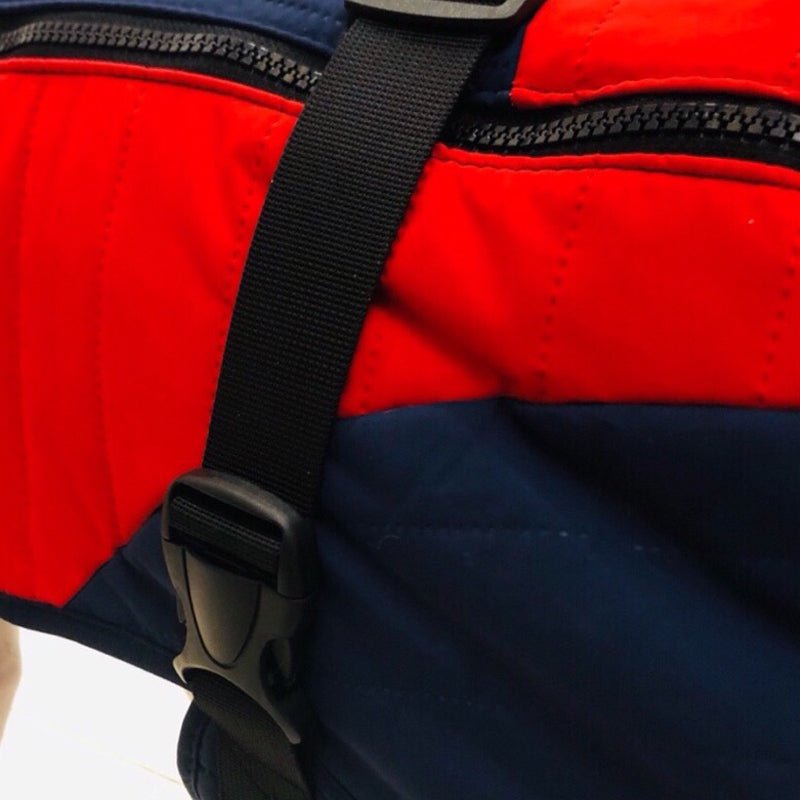 Warm Italian Greyhound Padded Vest