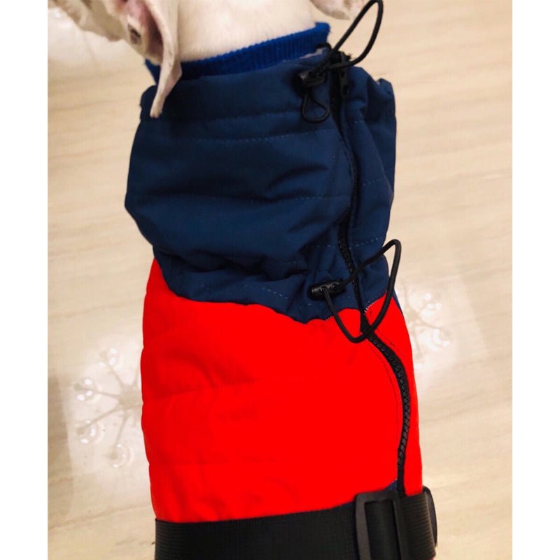 Warm Italian Greyhound Padded Vest