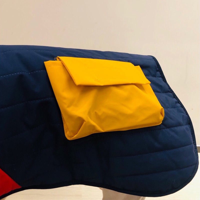 Warm Italian Greyhound Padded Vest