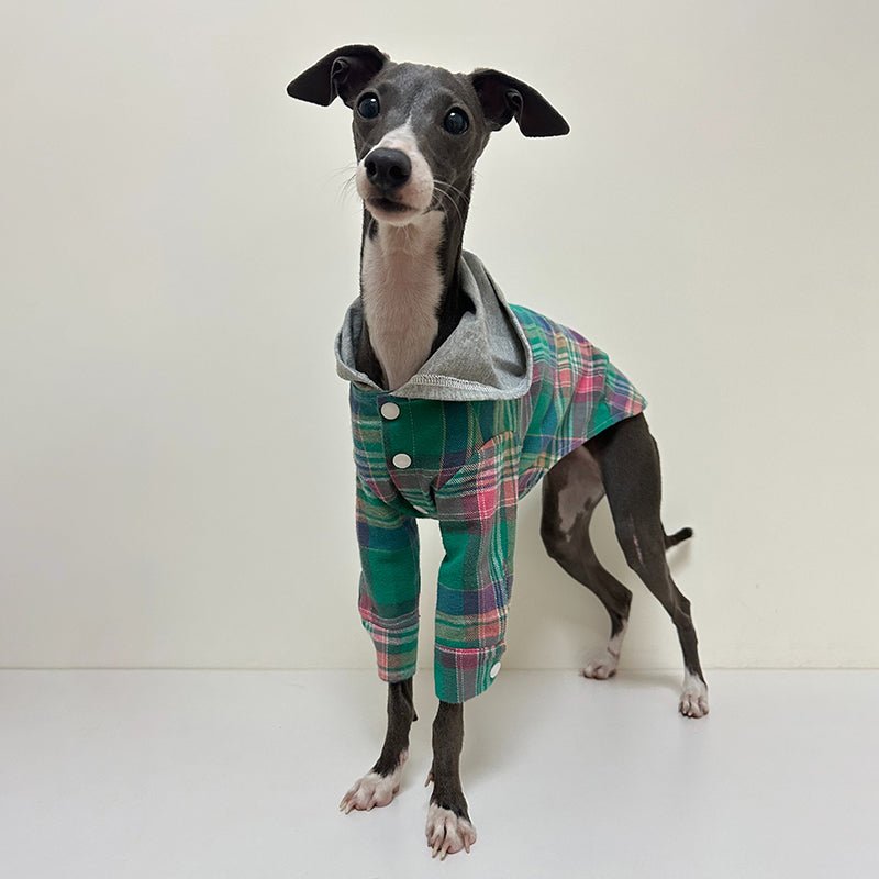 Stylish Cotton Plaid Greyhound Hoodie