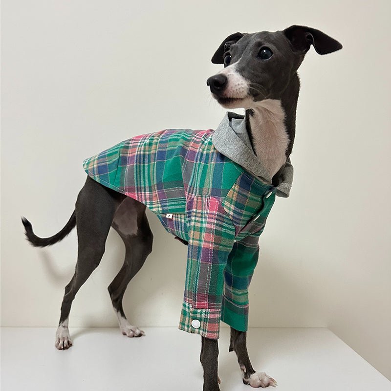 Stylish Cotton Plaid Greyhound Hoodie
