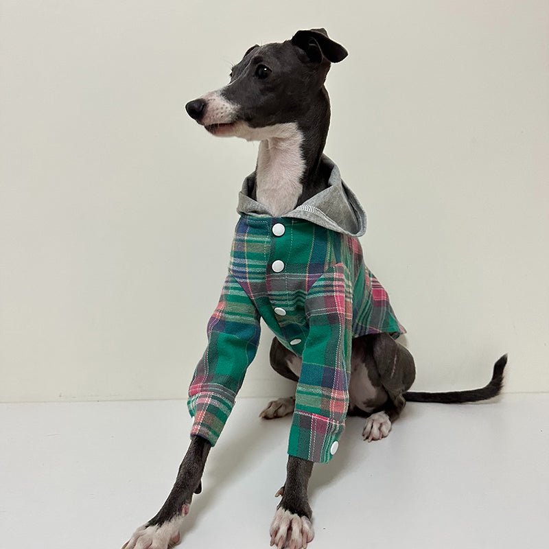 Stylish Cotton Plaid Greyhound Hoodie