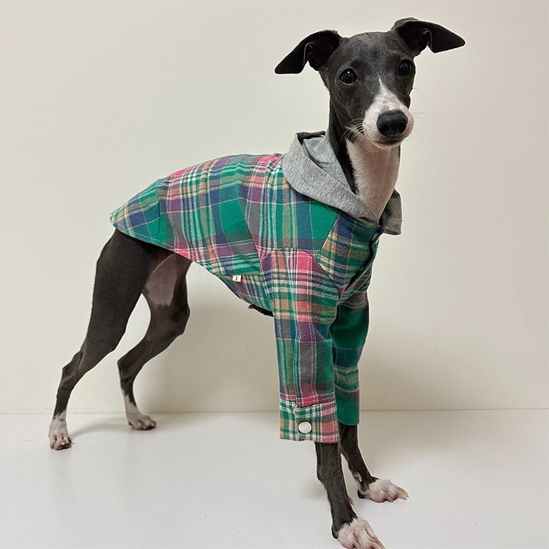 Stylish Cotton Plaid Greyhound Hoodie