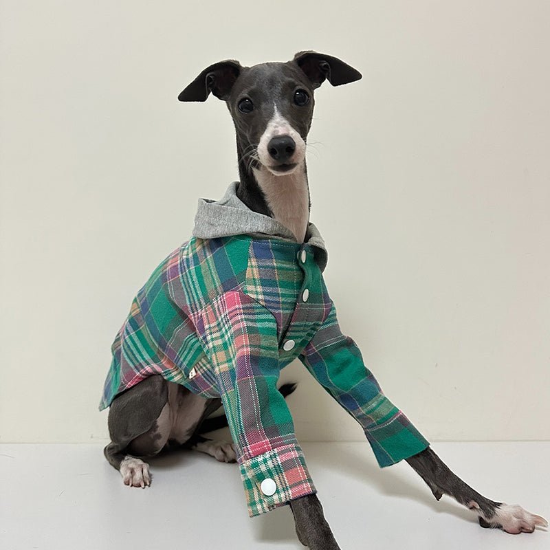 Stylish Cotton Plaid Greyhound Hoodie