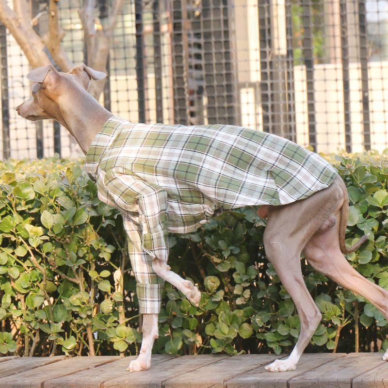 Soft Cotton Plaid Greyhound Shirt