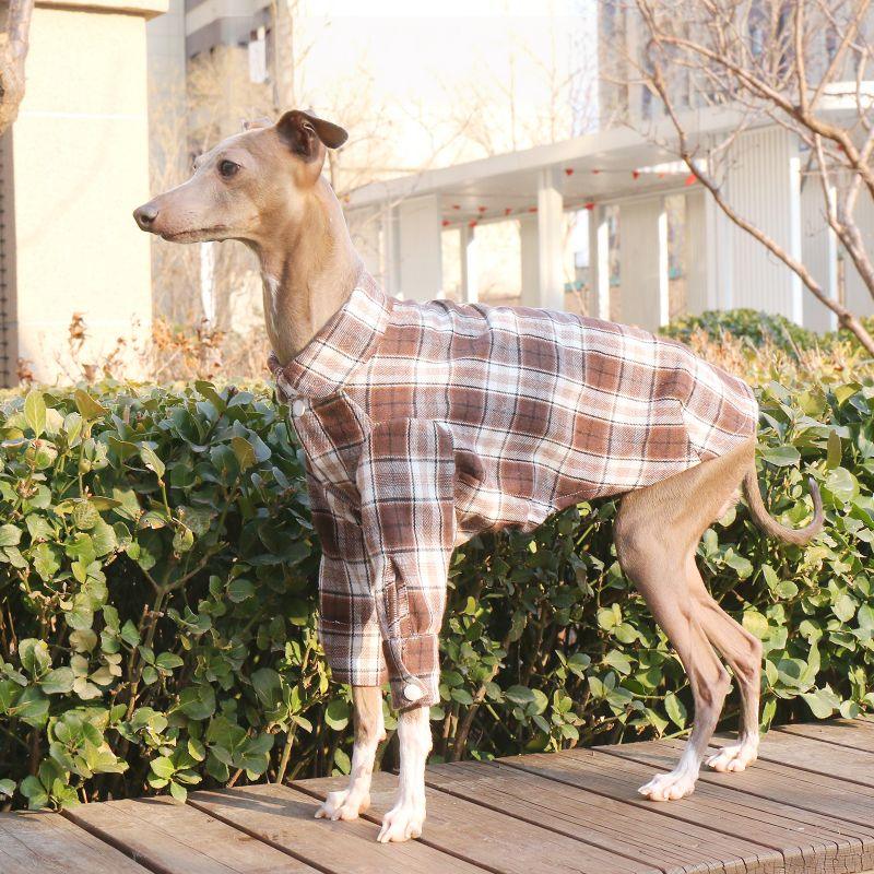 Soft Cotton Plaid Greyhound Shirt