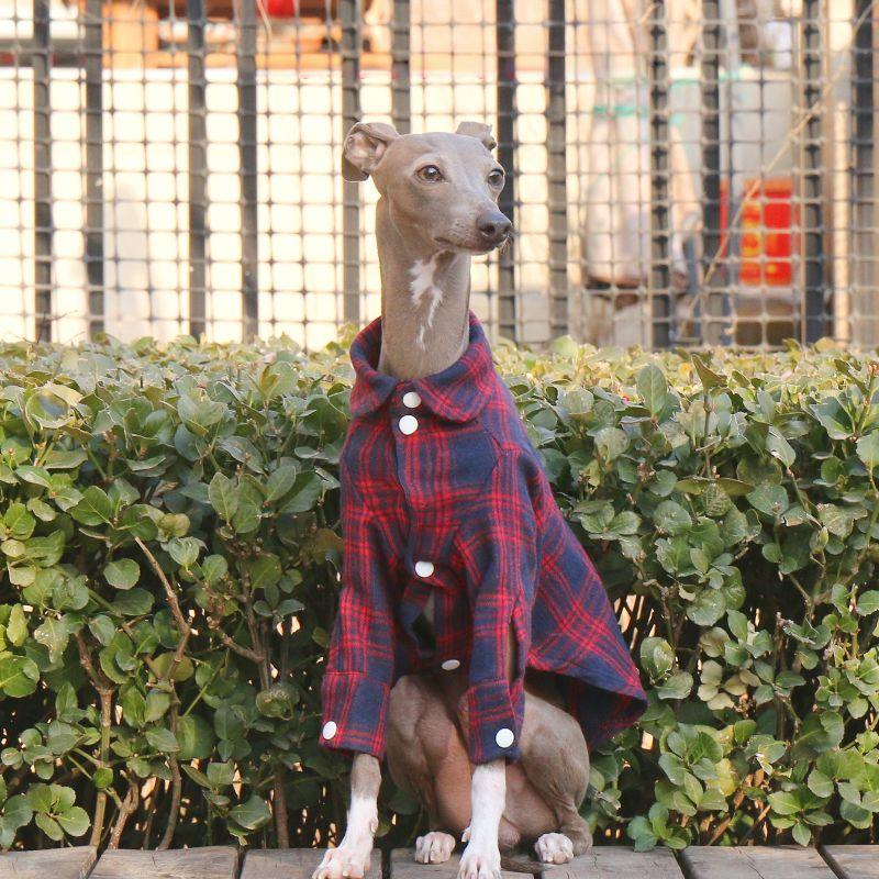 Soft Cotton Plaid Greyhound Shirt