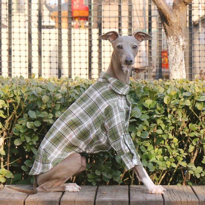 Soft Cotton Plaid Greyhound Shirt