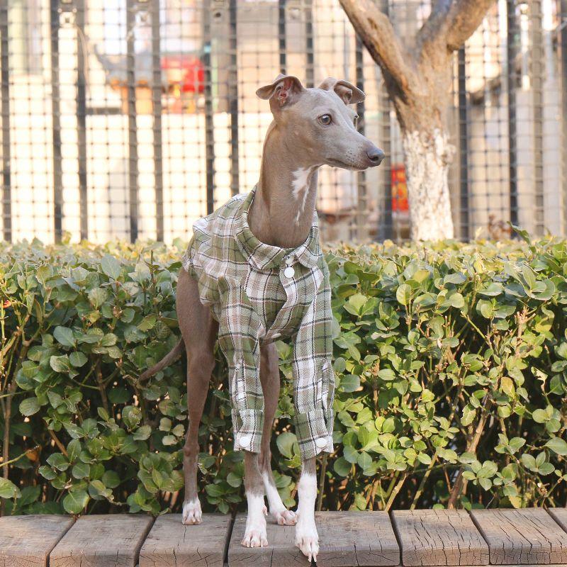 Soft Cotton Plaid Greyhound Shirt