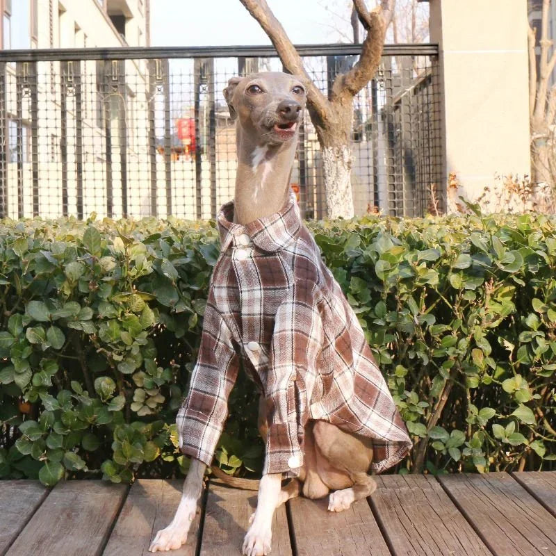 Soft Cotton Plaid Greyhound Shirt